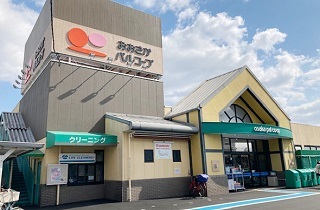 278756697